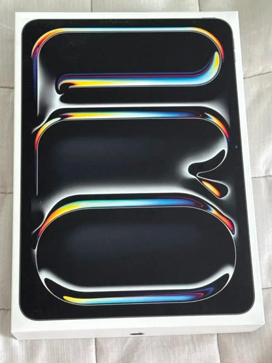 아이패드 프로 11 M4 256GB