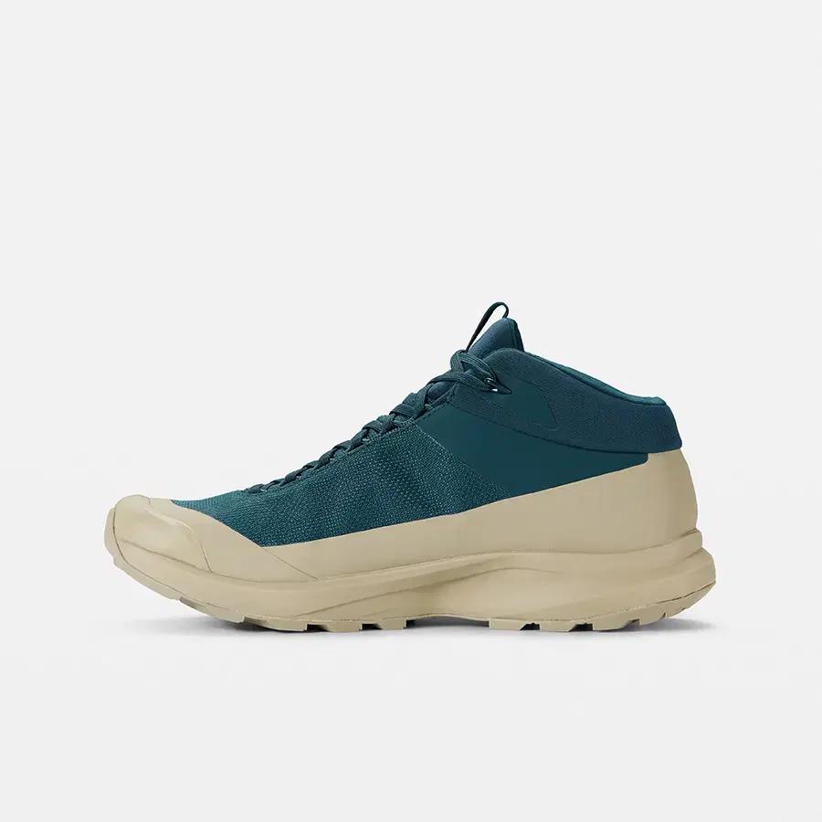 Arc'teryx Aerios FL2 GTX Shoes - 넬슨 정품