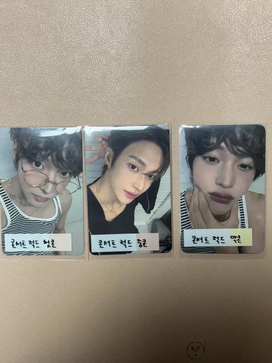 라이즈 원빈 오디세이 콘서트 럭드 포카 첫콘 중콘 막콘