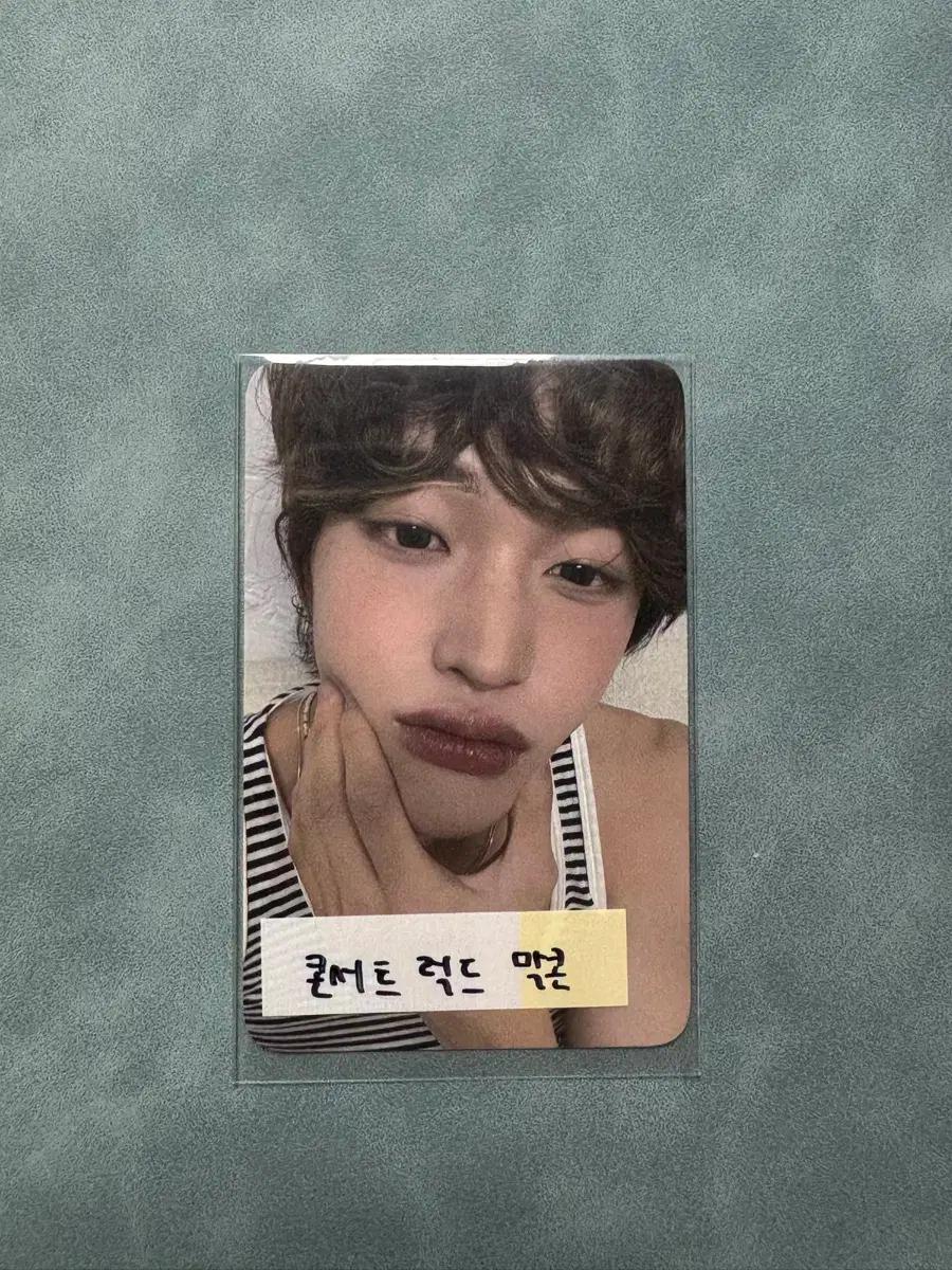 라이즈 원빈 오디세이 콘서트 럭드 포카 막콘 3일차