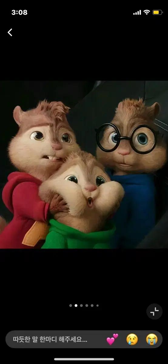 앨빈과 슈퍼밴드 졸사 옷 대여