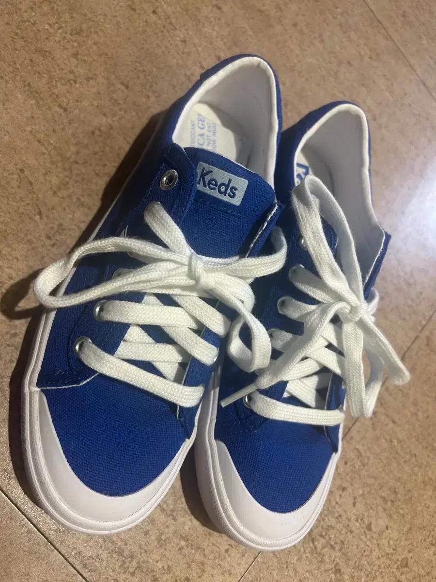 (새상품) 케즈 크루즈킥 75 블루 240