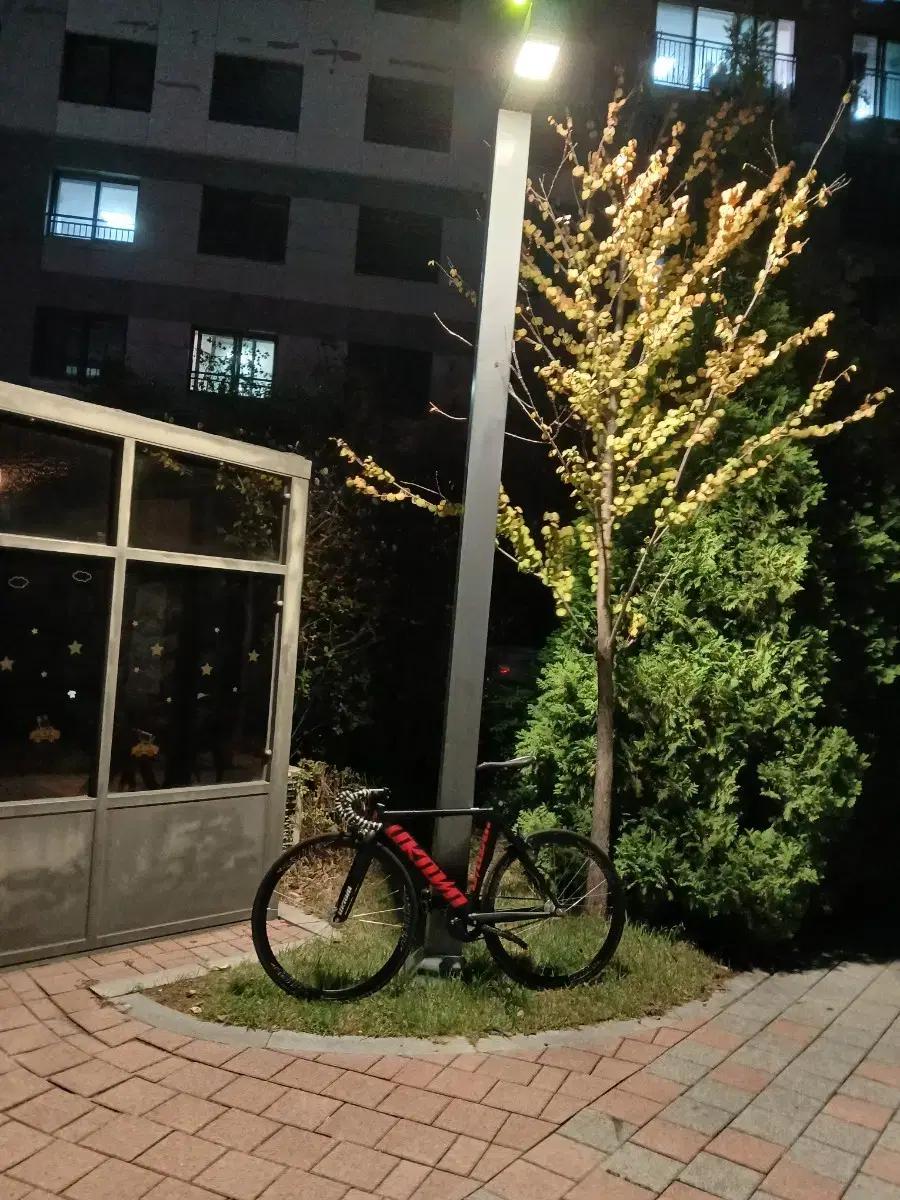 언노운 싱귤러리티2 2024한정판