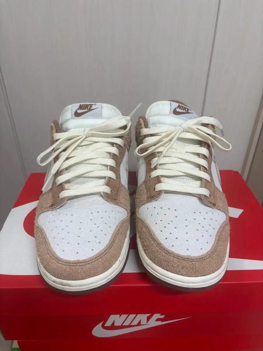 나이키 덩크로우 미디엄커리 270