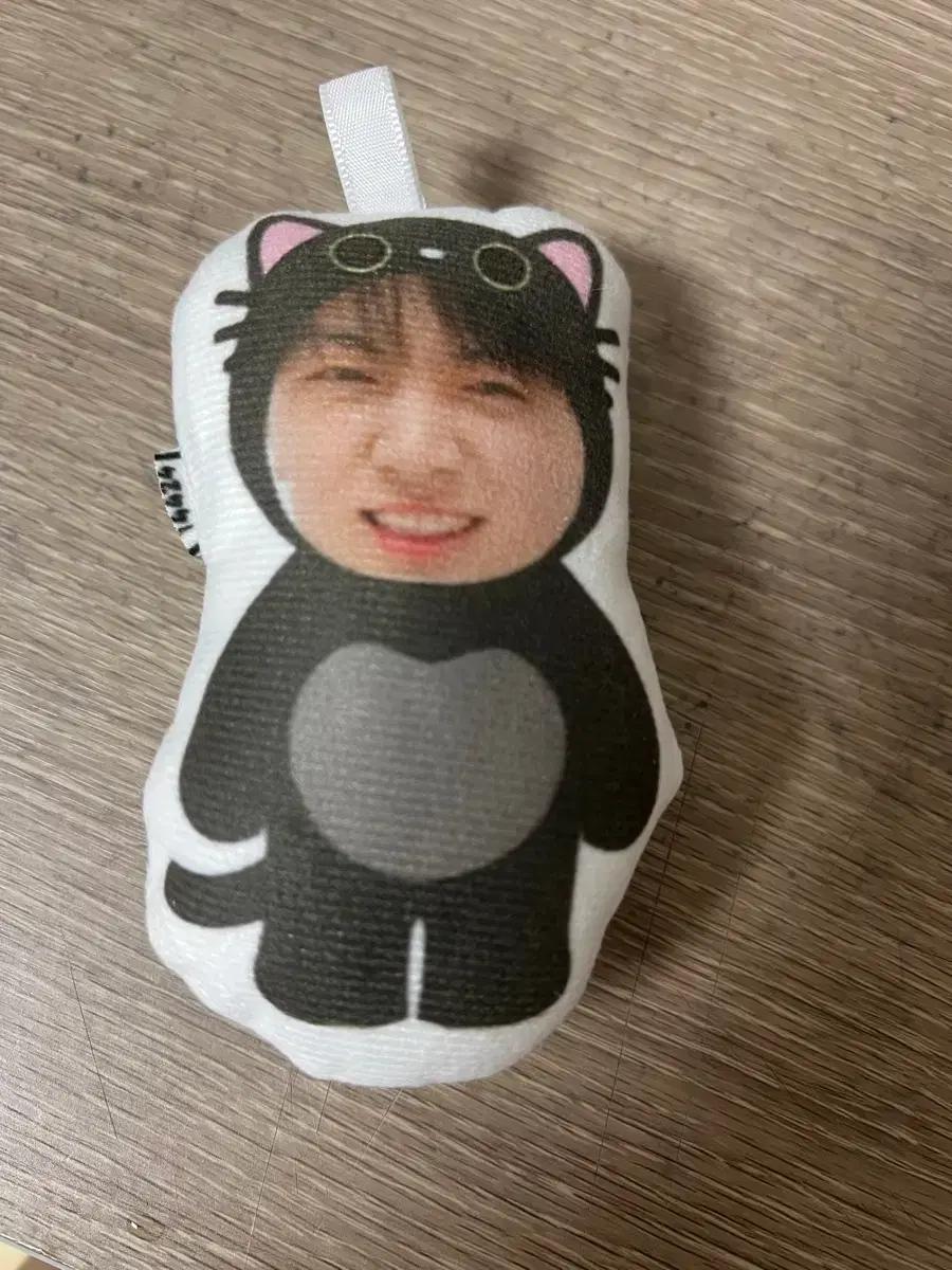 엔하이픈 제이 인형 양도