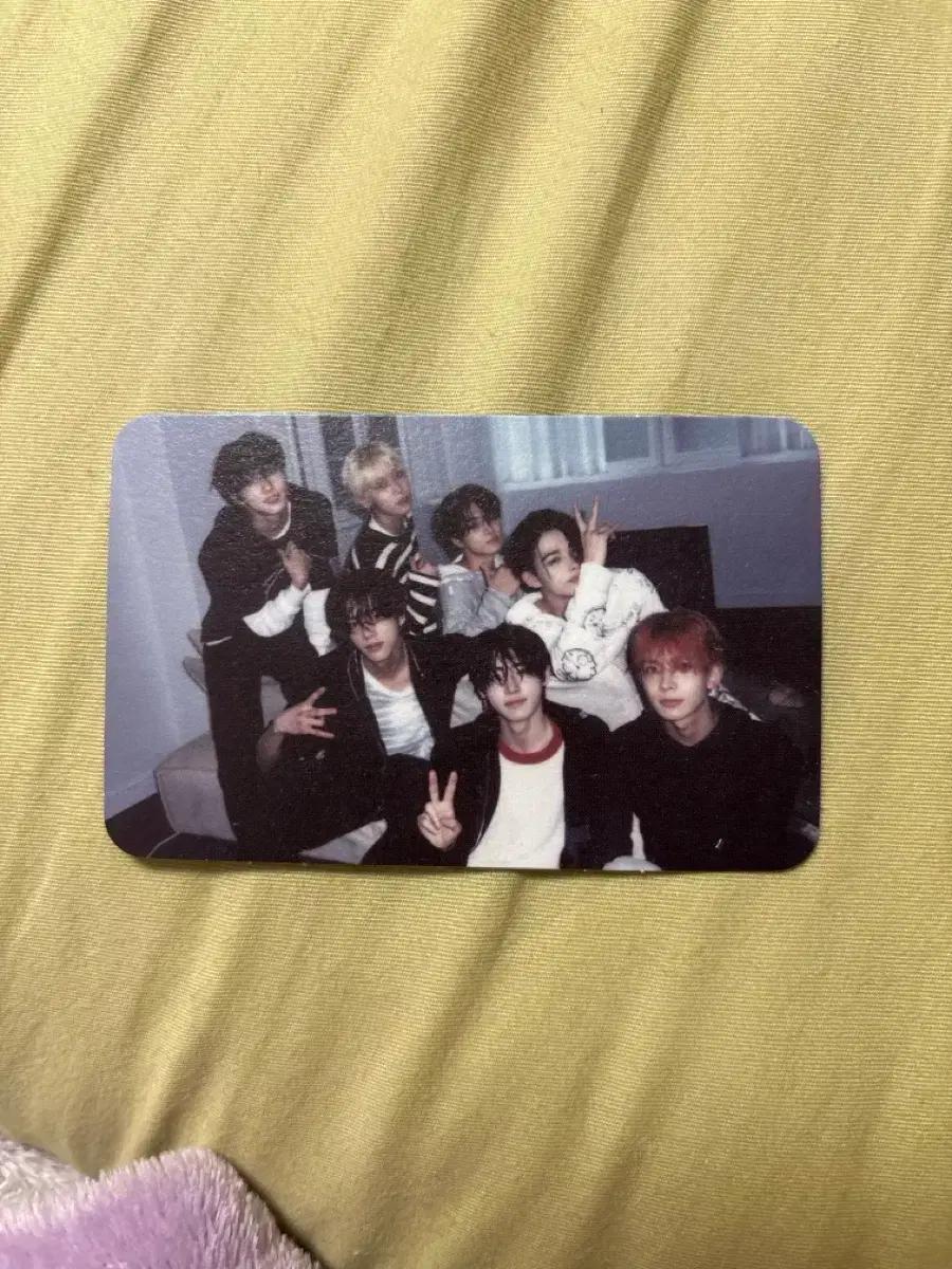 ENHYPEN 단체 daydream 포카