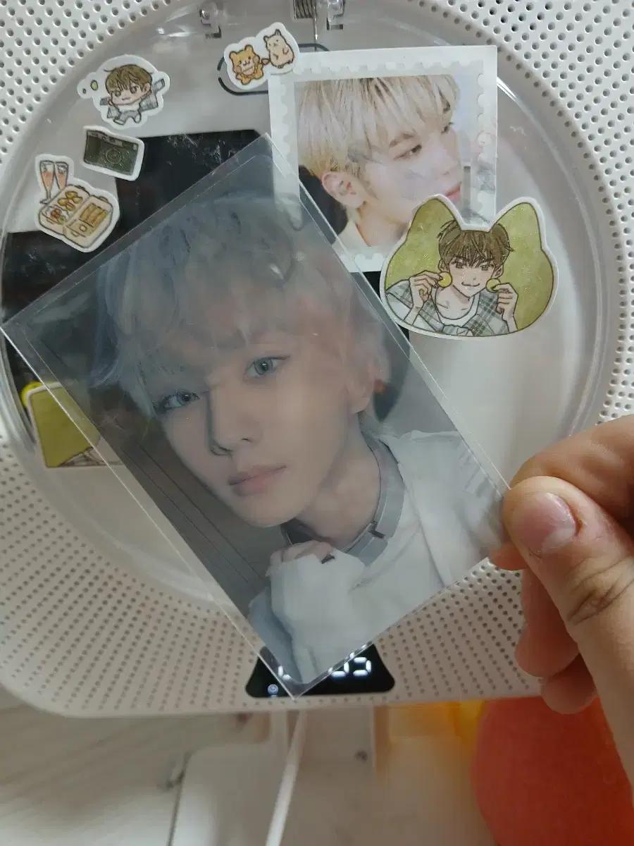 ( 급처 + 공굿덤 )엔하이픈 양정원 포카 양도