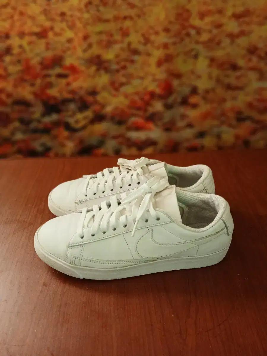 나이키 브레이저 로우올 화이트240