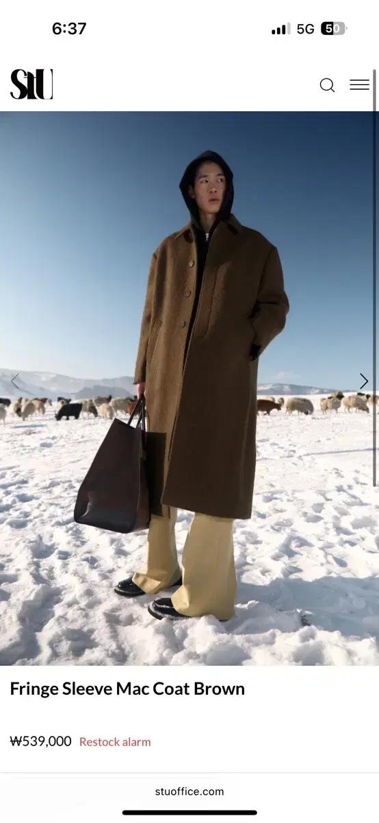 (M) stu stuoffice 맥코트 브라운