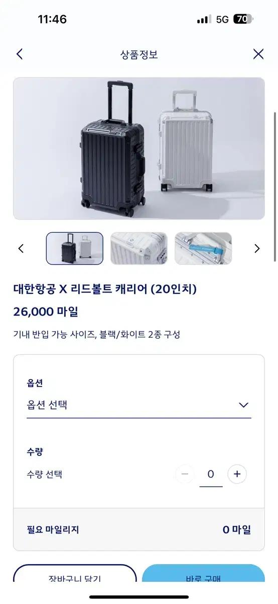 대한항공 X 리드볼트 캐리어 20인치