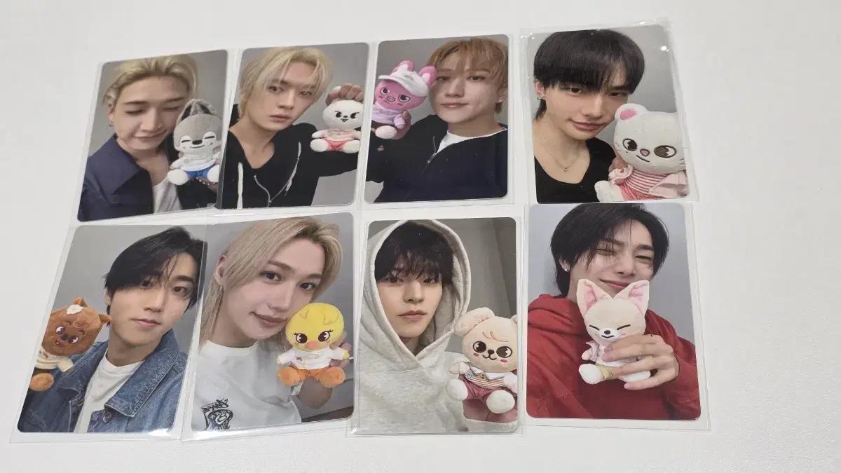 스트레이키즈 주토피아 엠디 포카 스키즈 포토카드 팝업 스토어