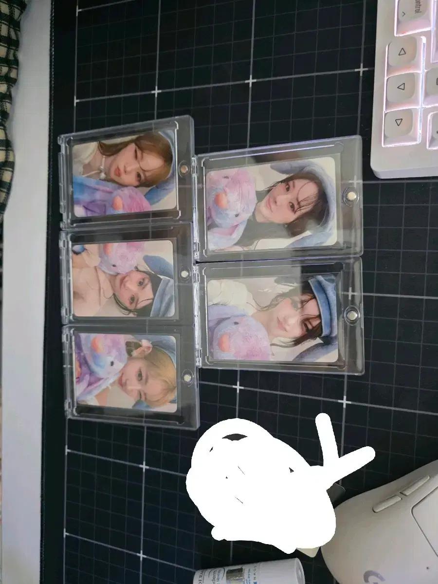 피프티피프티 키나 토끼모자 포토카드 세트