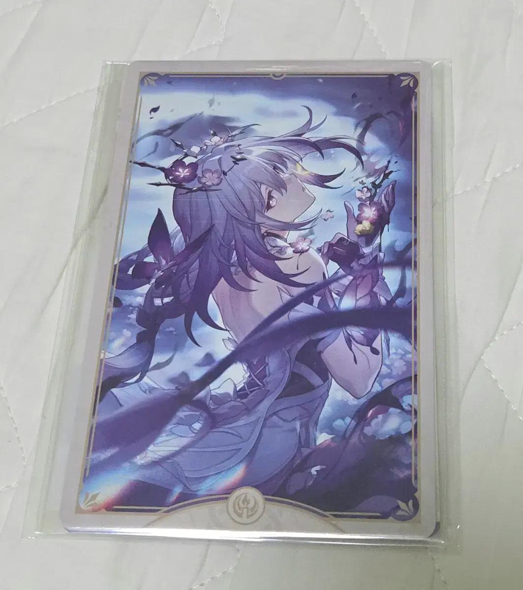 붕괴스타레일 붕스 카스토리스 타오바오 특전 광추 카드 세트