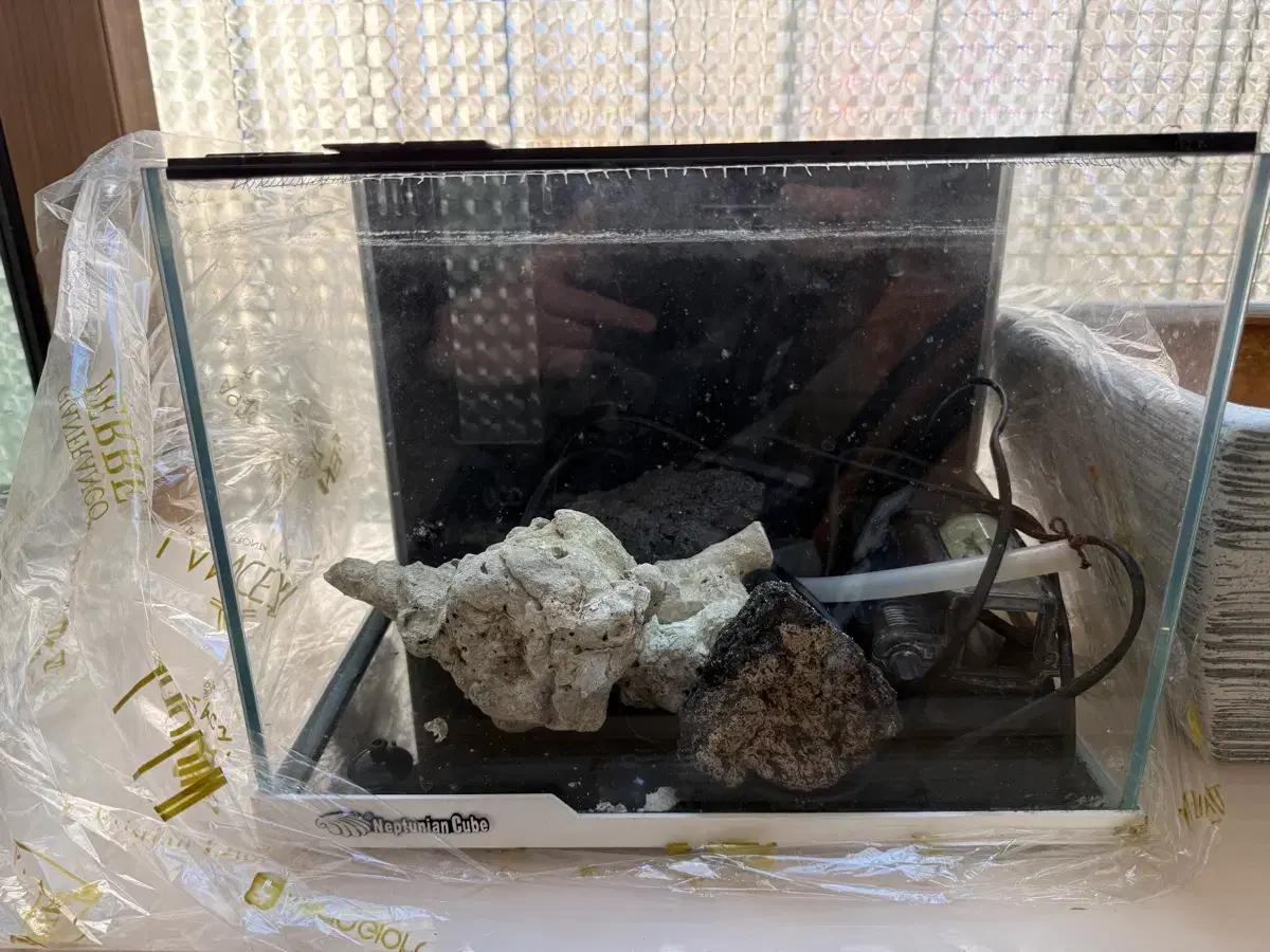 해수어용 어항 Neptunian Cube 어항