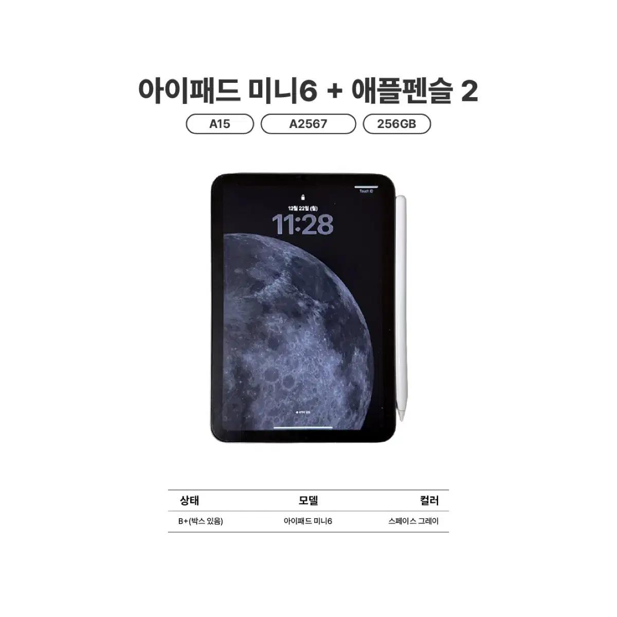 아이패드 미니6(256g) + 애플펜슬2