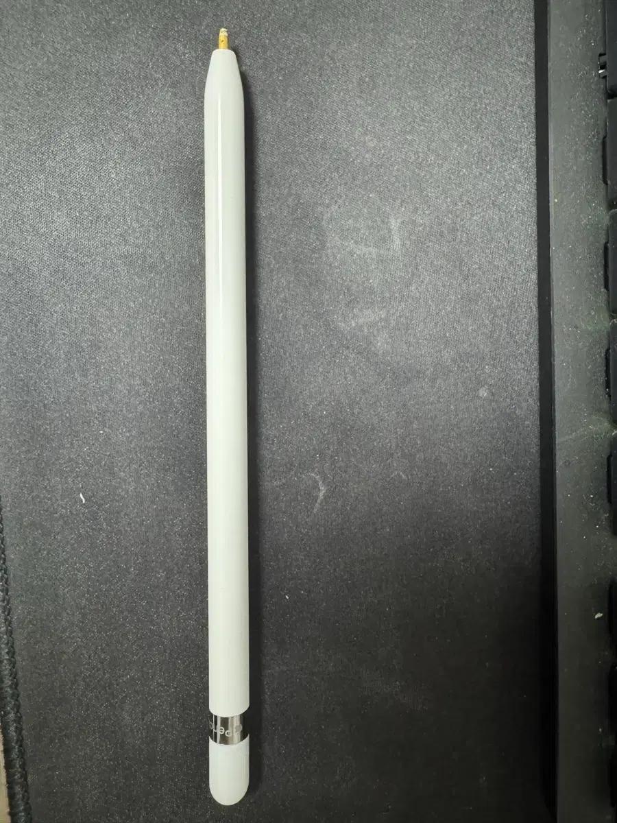 애플 펜슬1세대 라이트닝