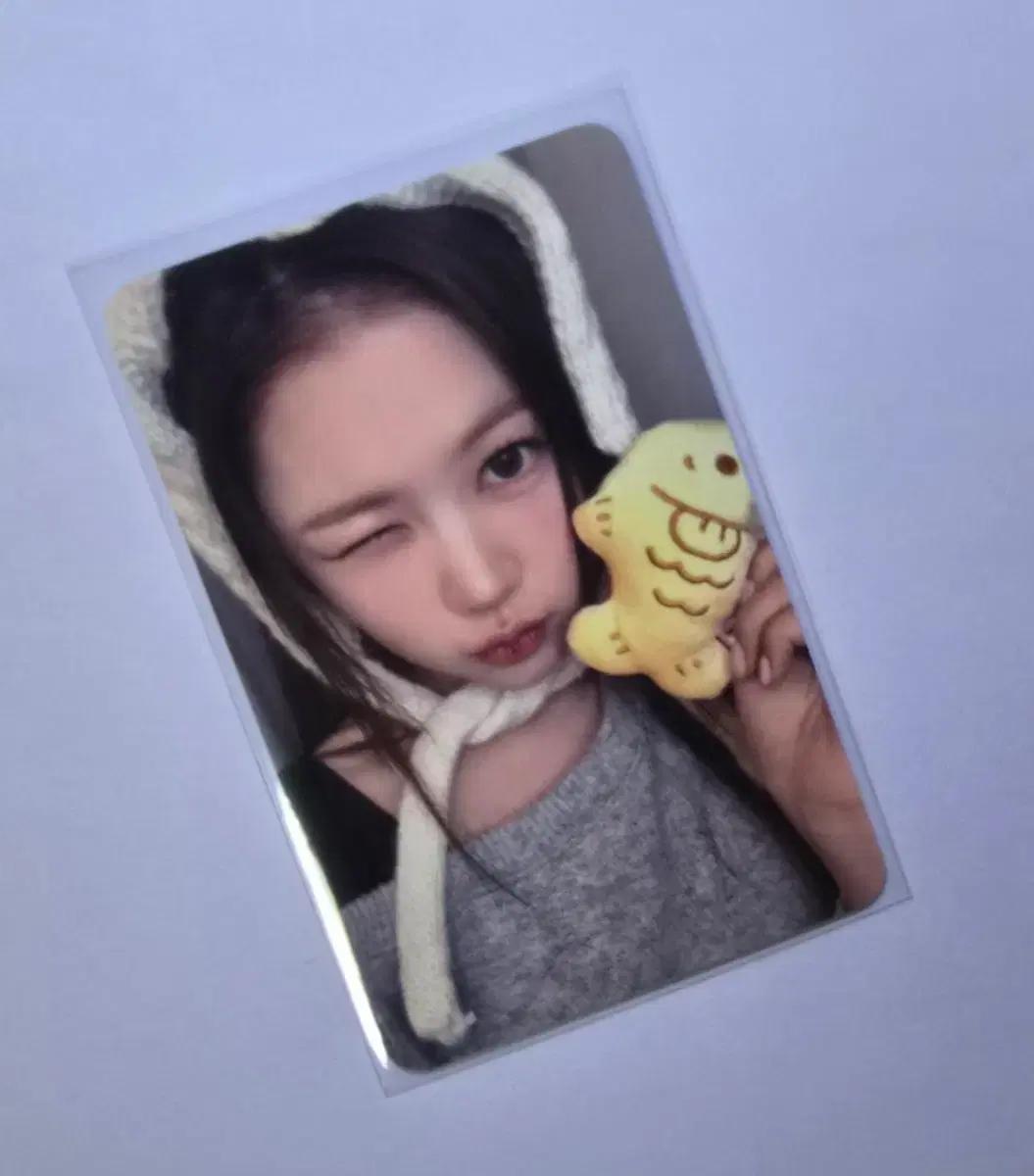 하츠투하츠 포커스 케타포 럭드 예온