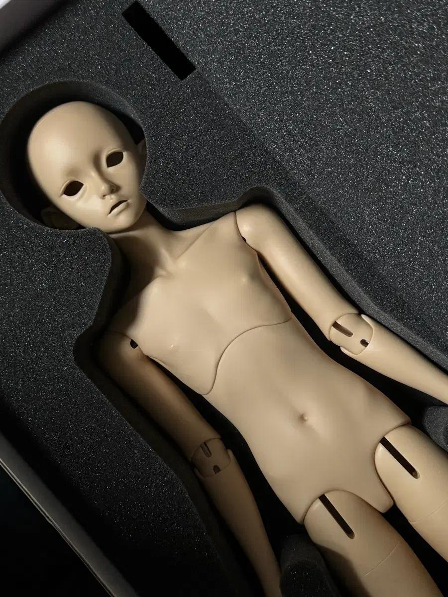 심플리멘투비 도휘 쥬시리얼 본체 / 구체관절인형