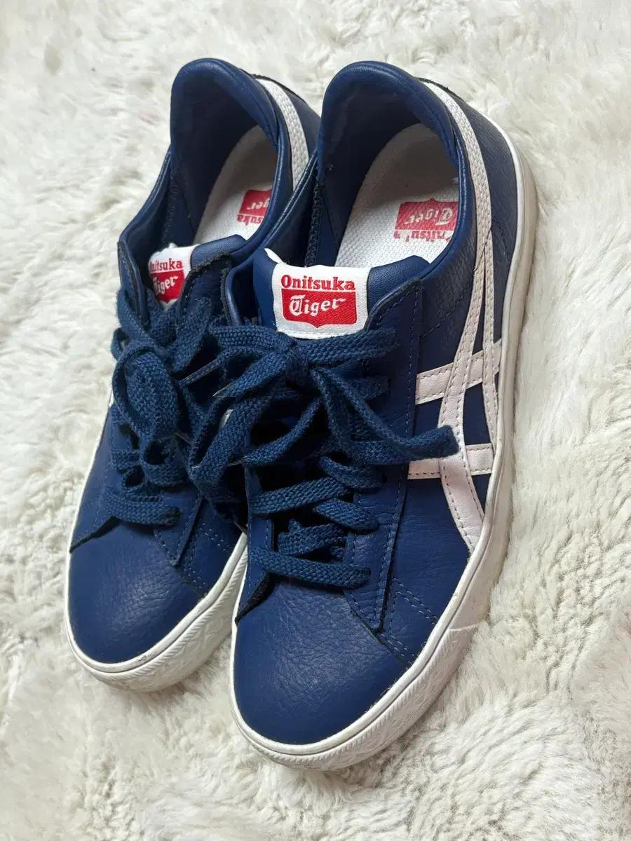 아식스 네이비 오니츠카타이거