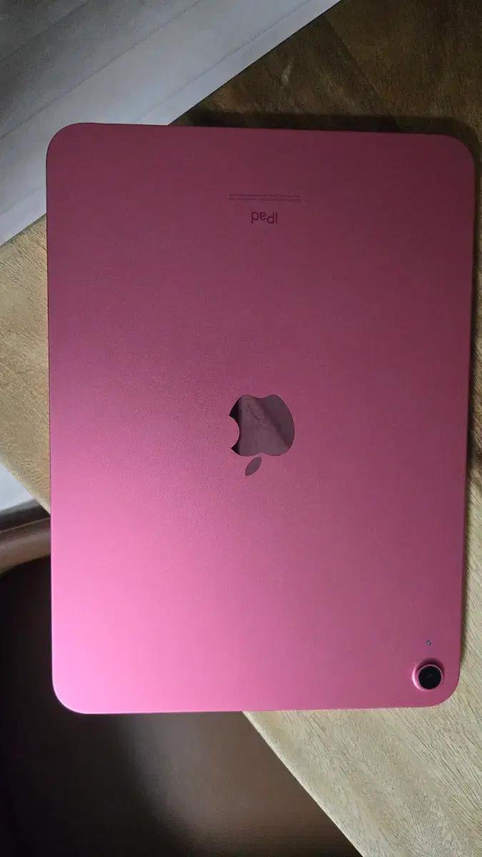 애플 아이패드10세대 핑크