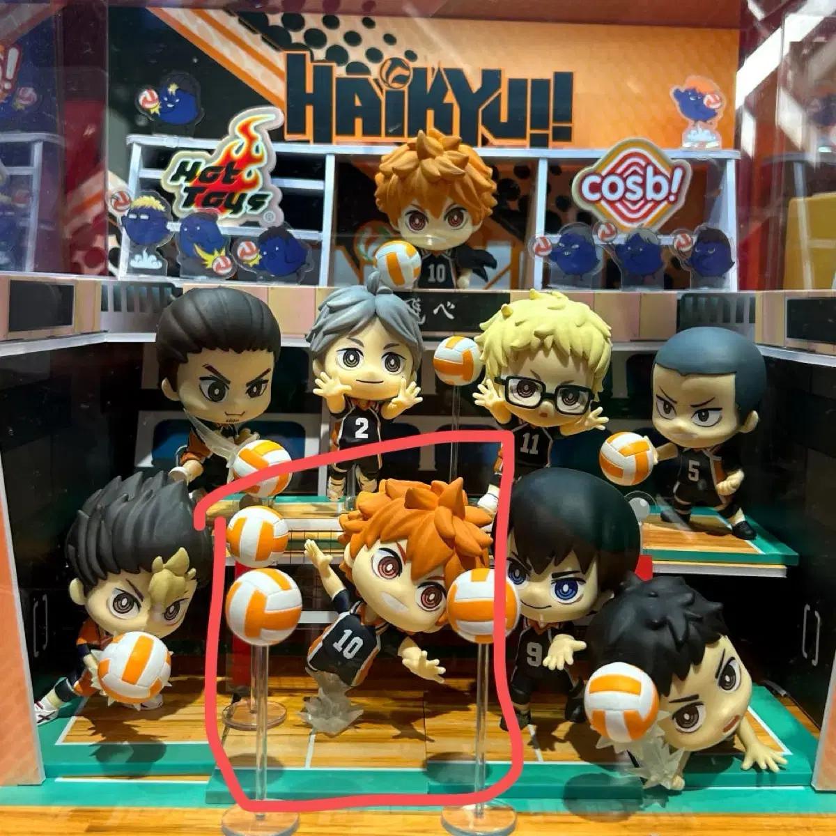 하이큐 핫토이 코스비 Hot Toys cosb 피규어 히나타 쇼요