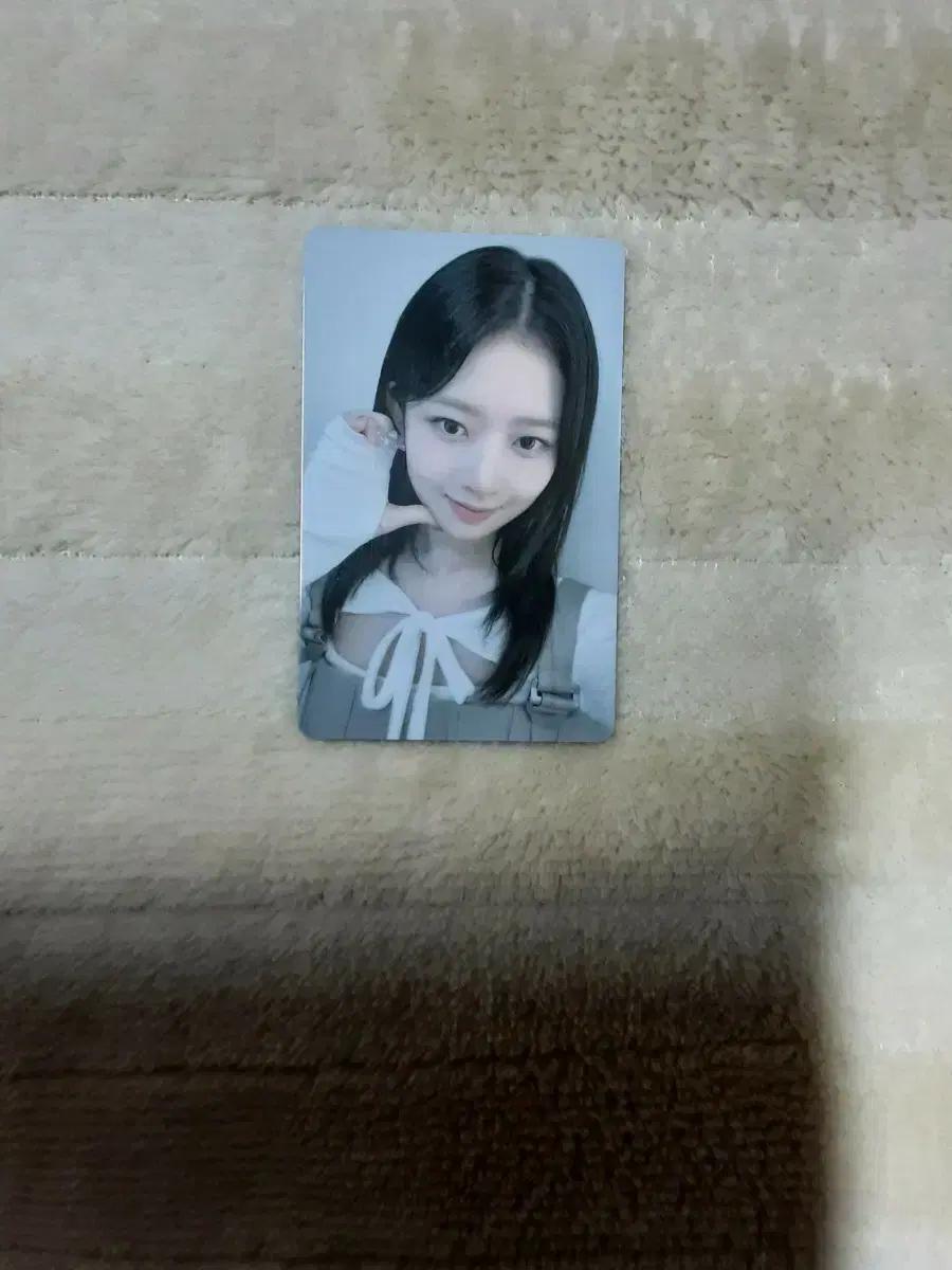아이브 파파존스 레이