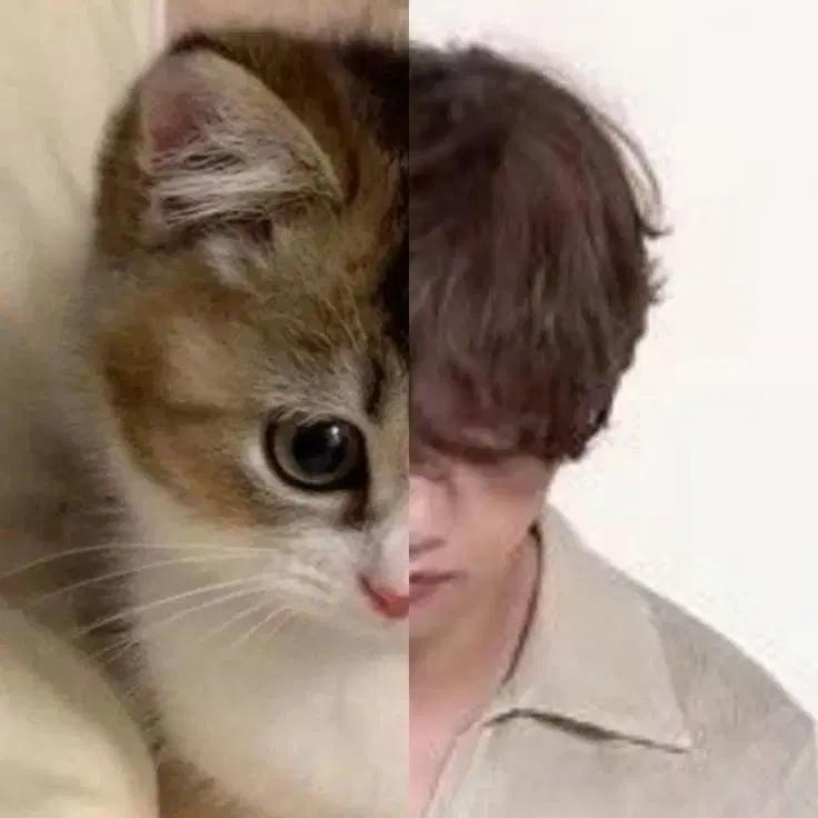 스밍용 공기계 구매합니다 BTS 방탄 갤럭시