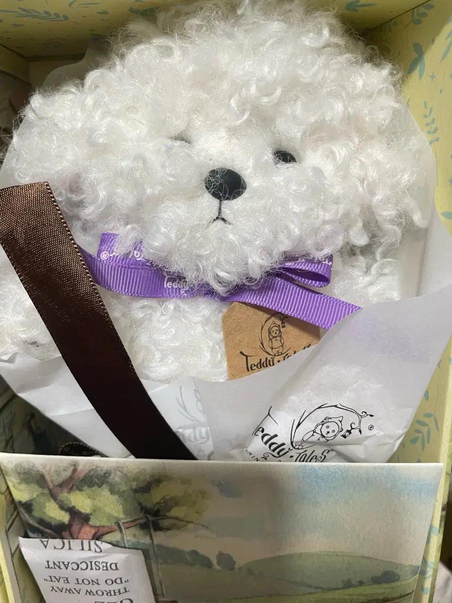 Teddy Tales 레나퍼피 비숑s
