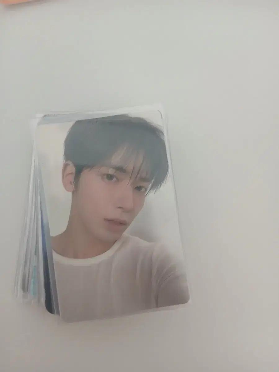 급전)투바투 포카 일괄로 팝니다