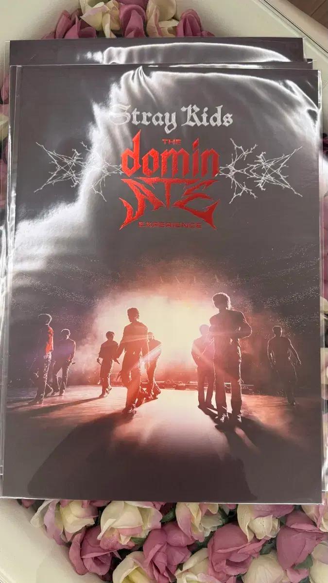 스트레이키즈 CGV 포스터 미개봉