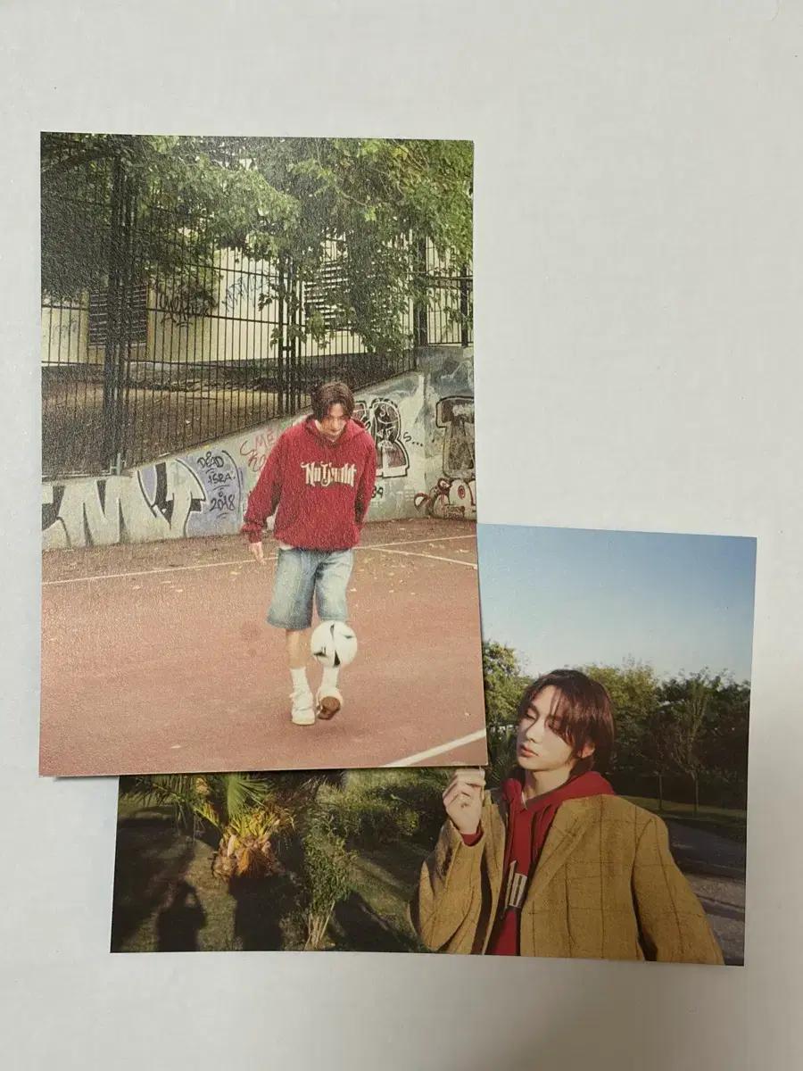 보넥도 포카 일괄 판매 BOYNEXTDOOR 보이넥스트도어 성호
