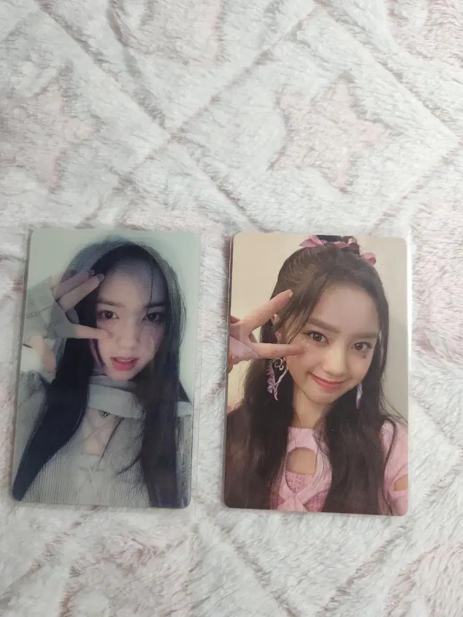 유니스 엘리시아 포카