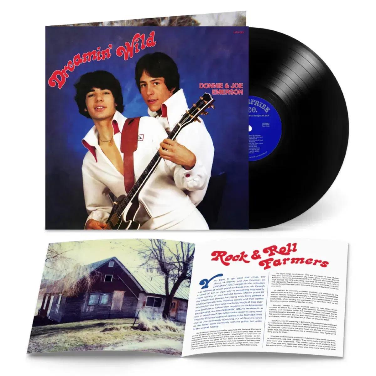 Donnie & joe emerson dreamin' wild vinyl