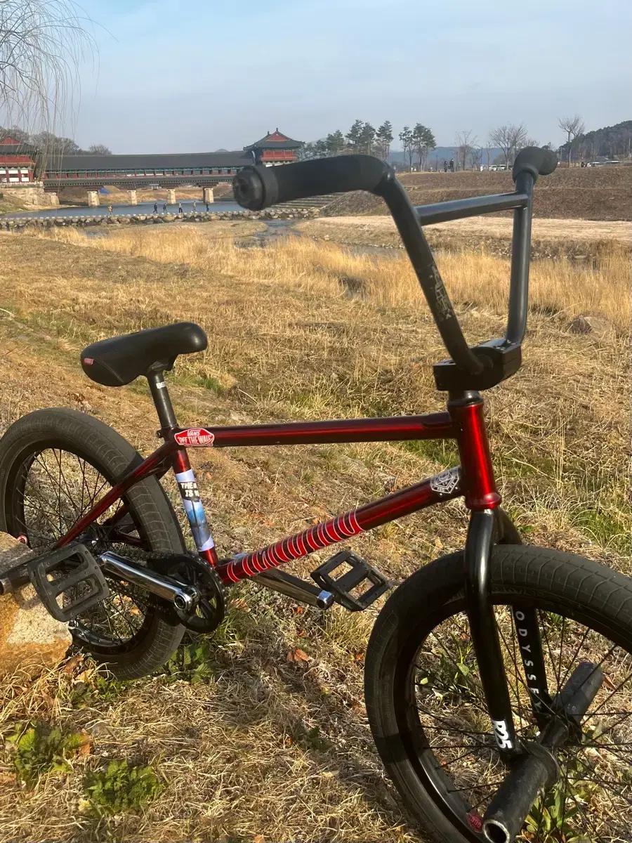 핀드 밀스 20.5 트랜스 레드 bmx 풀커스텀