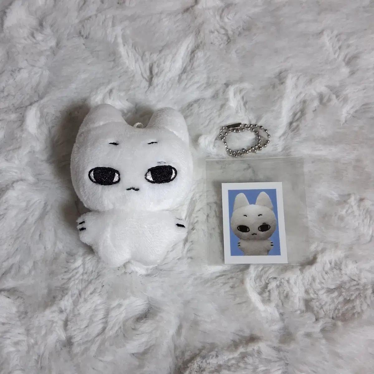 보이넥스트도어 보넥도 성호 인형 이웃집 성냐 양도
