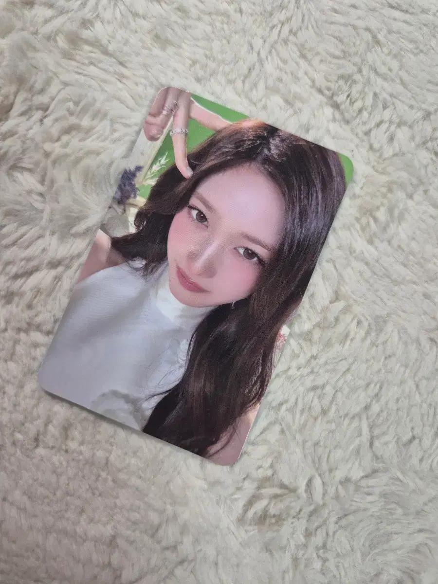아이브 팬콘 엠디 이서