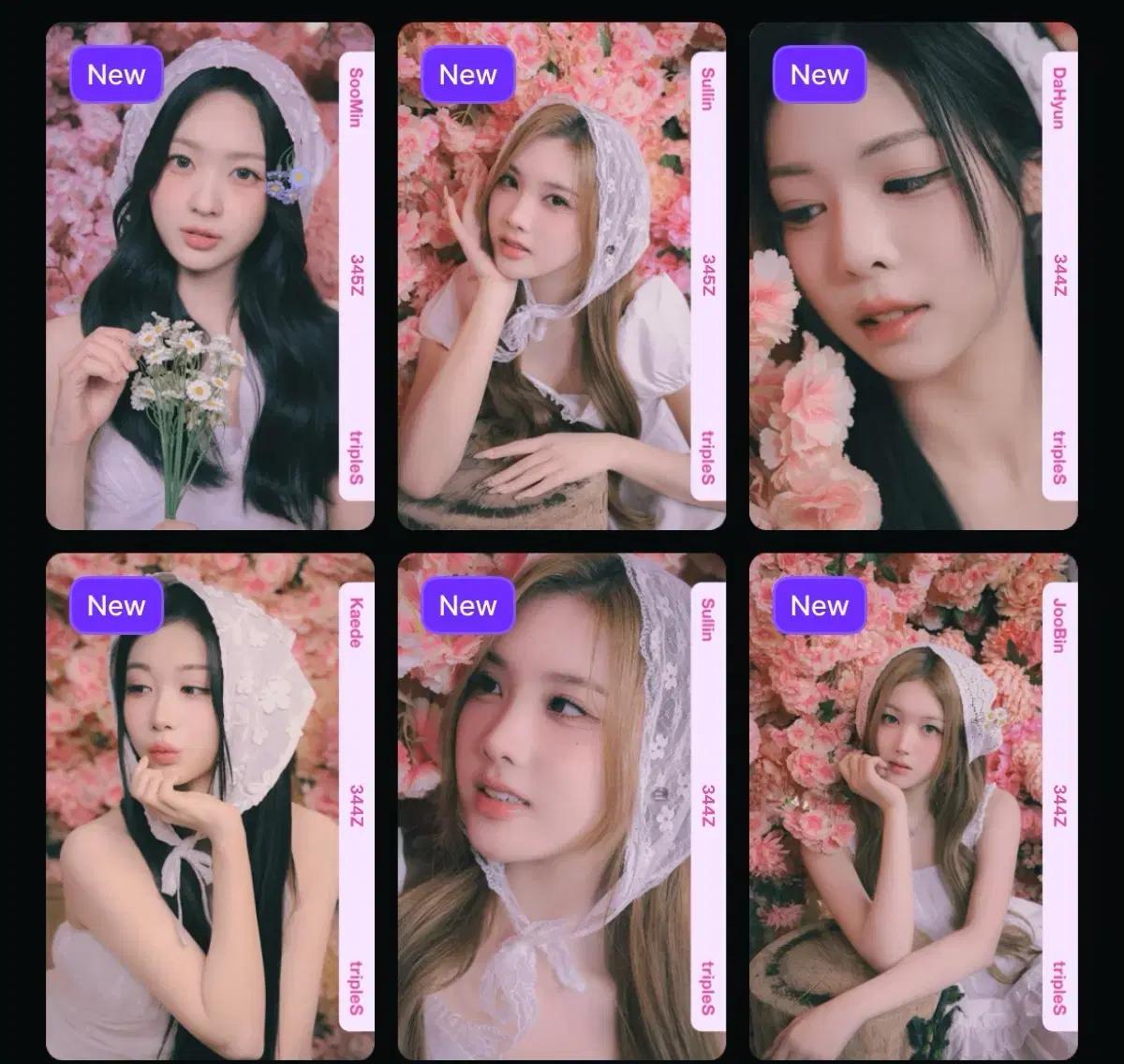 트리플에스 벚꽃 오브젝트 양도