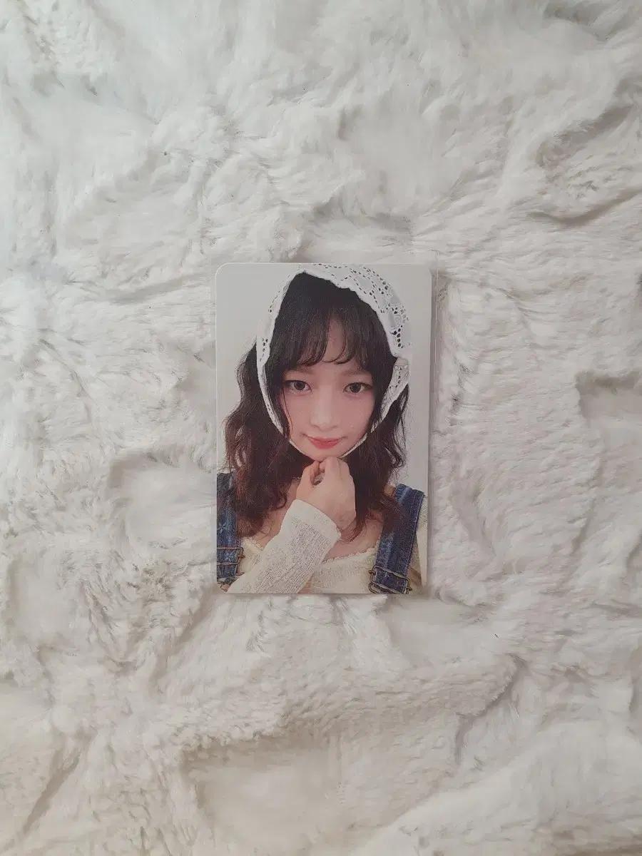 아이브 2025 시그 레이