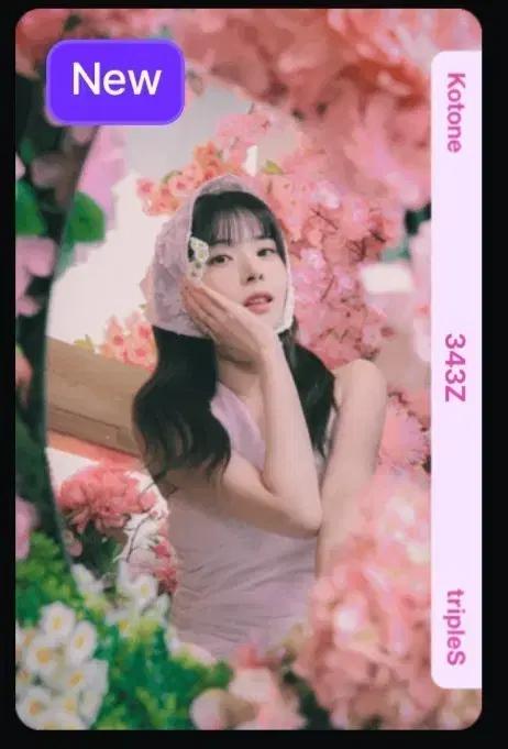 트리플에스 코토네 343 오브젝트