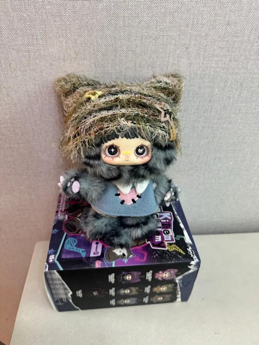 메이메이 고양이