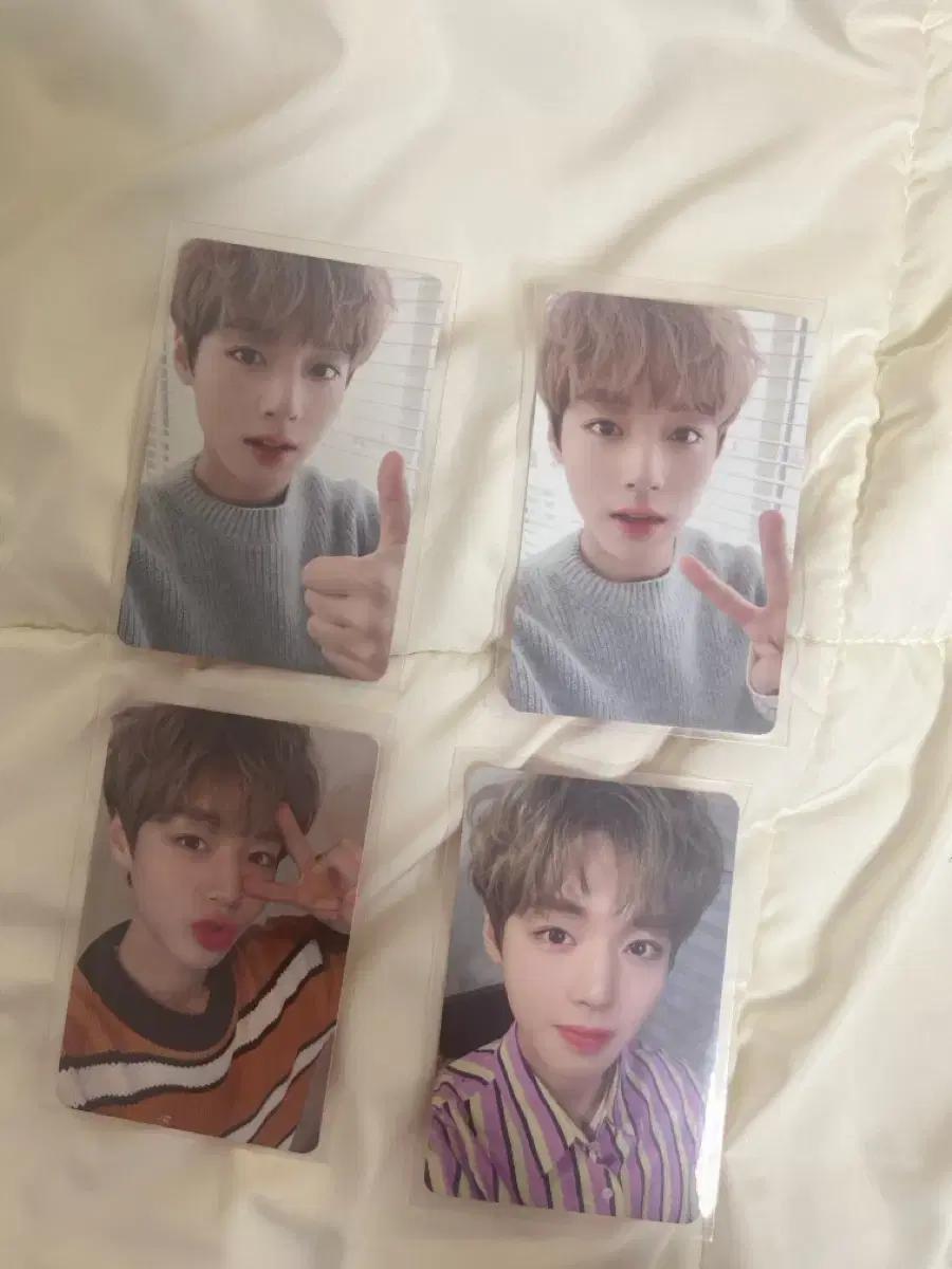 박지훈 메이1기 포카