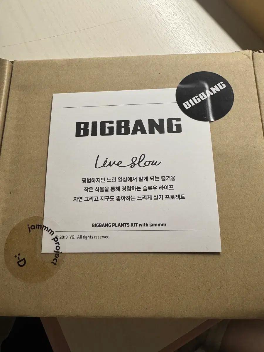 빅뱅 플랜트 키트