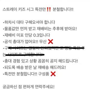 스키즈 스트레이키즈 시그 특전 분철 2027